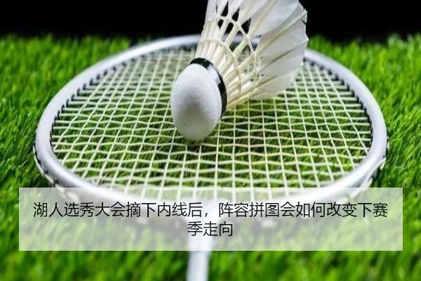 湖人选秀大会摘下内线后，阵容拼图会如何改变下赛季走向（xiongmaotiyu）